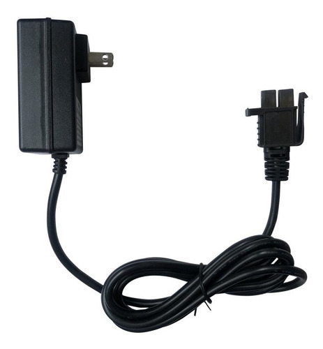 12 Voltios Paseo De Los Cabritos Del Cargador Del Adaptador