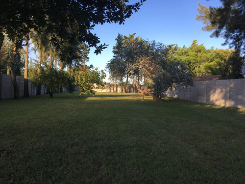 Brega, Lote En Venta, Sobre Avenida, Cercado, Arana