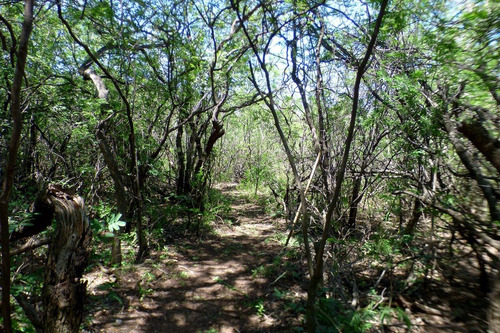 Dueño Vende Terreno San Marcos Sierras, Zona Las Vertientes