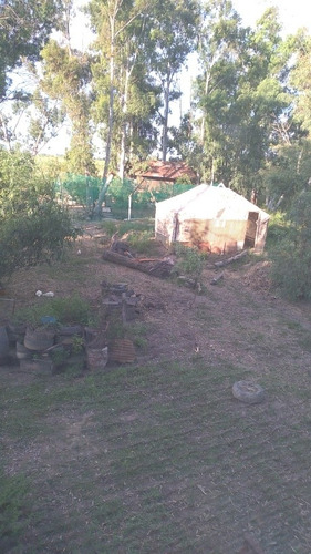 Imagen 29 de 30 de Hermosa Casa Quinta C/embarcación 150mts Costa, Muelle Propio, Amoblada, Ecosustentable. Escucho Ofertas