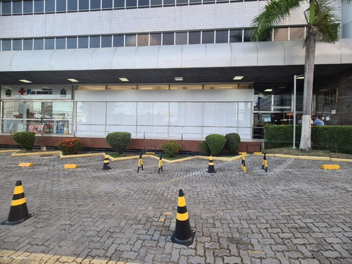 Imagem 13 de 15 de Loja Para Locação Em Salvador, Caminho Das Árvores, 2 Banheiros, 6 Vagas - Ms1147_2-1183851