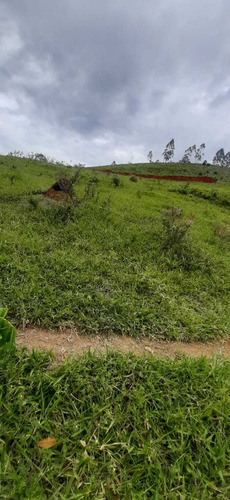 Imagem 12 de 14 de R18- Terreno Em Santa Isabel- Sp De 1000 M² !!