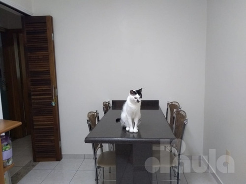 Imagem 10 de 14 de Permuta Por Apartamento Em Scs - 1033-11391