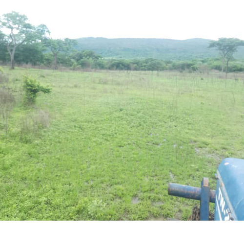 En Venta Finca En San Carlos Cojedes Asesor Carlos Daniel