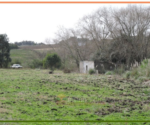 Venta De Chacra A 3 Km De Uam, Montevideo