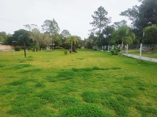 Imagen 24 de 24 de Se Vende 1ha. Con 3 Casas Sobre Ruta 11 Km 450
