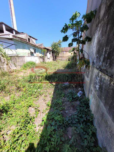 Imagem 2 de 15 de Terreno Frente 270m2 Penha - Oportunidade! - Pamf00045