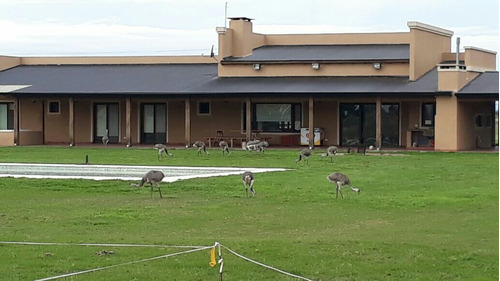 Imagen 14 de 18 de Casa Campo Alquilo Fin De Semana Quincena Mes Más De 2300 Hectáreas Para Disfrutar