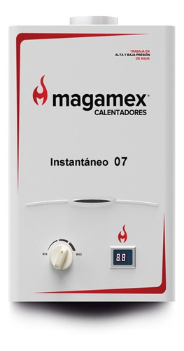 Calentador Boiler De Paso Gas Lp Instantaneo Magamex Ar07