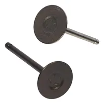 Comprar Kit Para Motor Bgs Vanguard 35hp Válvula Admissão Escape