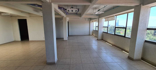 Imagen 3 de 14 de Oficinas En Renta 200 M2 Insurgentes Sur, San Ángel, Con Ph