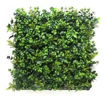 Comprar Jardín Vertical Tropical 30x30