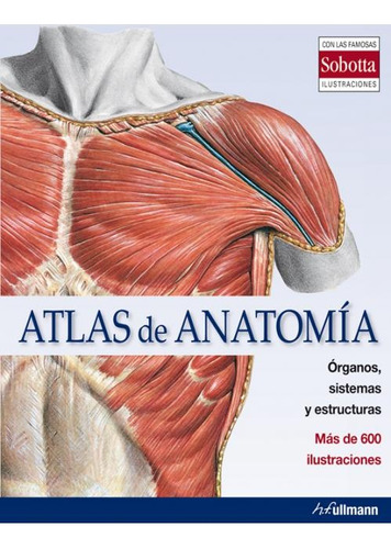 Atlas De Anatomia - Aa.vv., Autores Varios