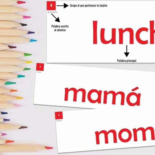 Metodo Doman Fases 1, 2, 3 Y 5 Mazos De Flash Cards