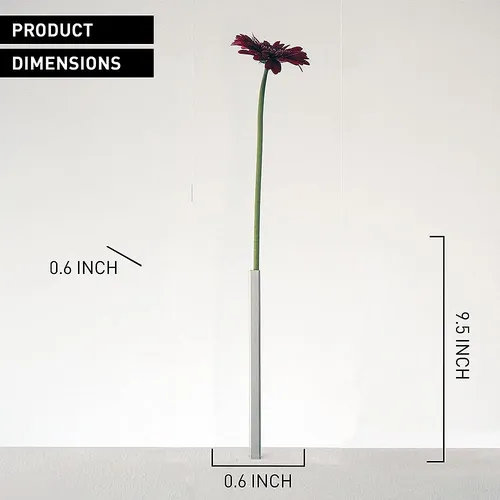Florero Magnético Peleg Design - Juego Único Y Moderno De 5