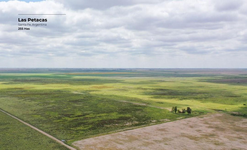 Campo De 255 Hectáreas En Las Petacas, Santa Fe