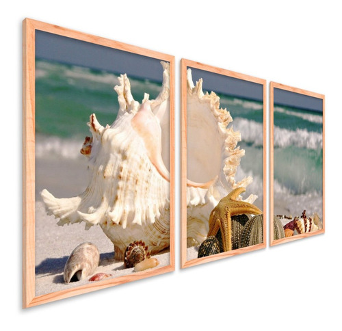 Quadros Decorativos Moldura Praia Mar Vidro Conchas Areia