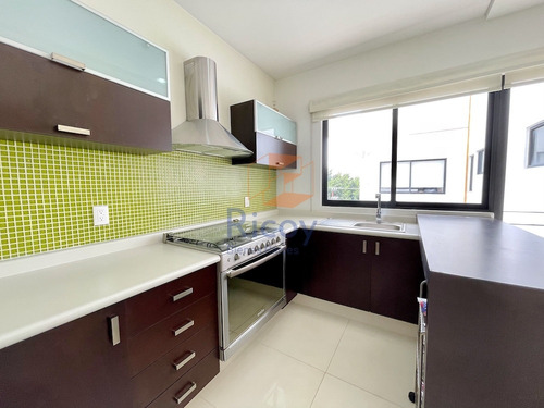 Imagen 4 de 13 de Magnífico Departamento En La Del Valle