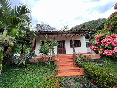 Finca En Venta En Vereda El Berrial. Cod V9938