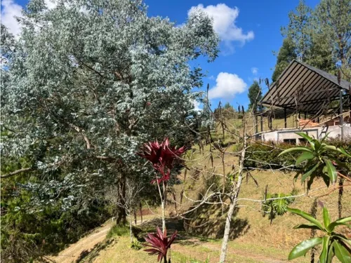 Rhbr-14055 (finca) P 1 Nivel (el Retiro, Don Diego)