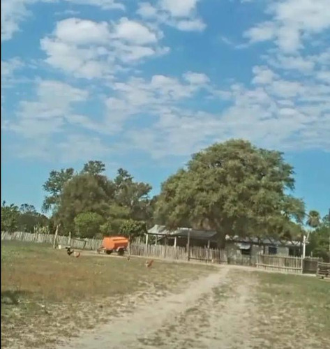 Campo Con Mejoras, Electricidad Y Título - Mariano Boedo- Formosa