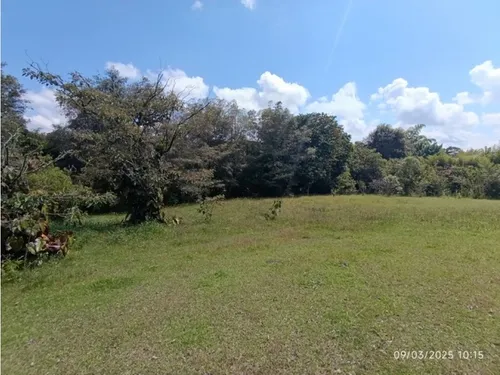 Vendo Lote En Llano Grande Vereda Cabeceras De 6.307 M² Sobre Vía