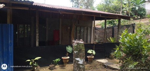 Imagen 8 de 12 de Finca 7000 M2, A 10 Minutos De La Fortuna De San Carlos, Vista Al Volcán Arenal