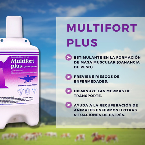 Multifort Plus Minerales Aminoacidos Ganado Bovino 500ml