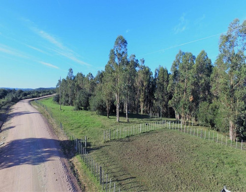 Campo - Otras