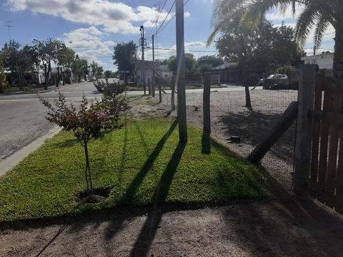 Terreno En Cardona 