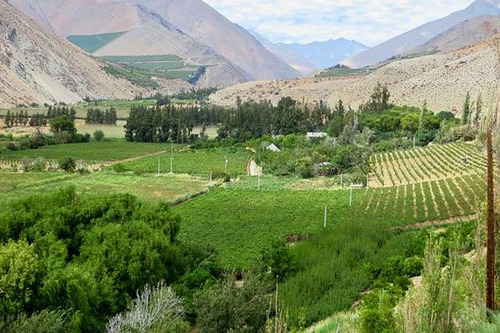 Agrícola En Venta En Paiguano