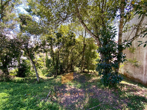 Imagem 4 de 4 de Terreno Para Venda Em Mogi Das Cruzes, Parque Residencial Itapeti - 978_1-1822650