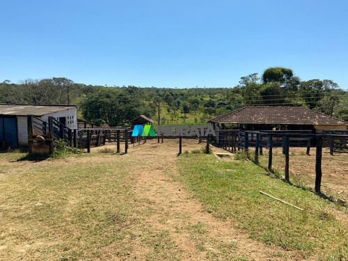 Imagem 11 de 15 de Fazenda - Zona Rural - Ref: 5532 - V-mta5532