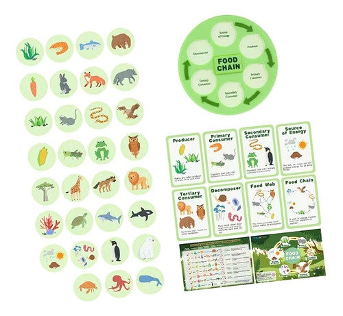 Ciclo De Vida Da Cadeia Alimentar Kit Party Favors Science
