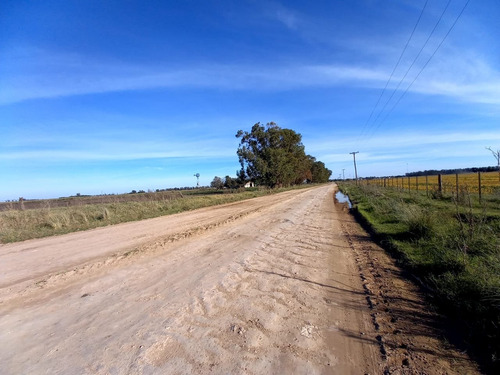 Imagen 6 de 7 de Campo De 62100m2 Agrícolas En Mechongue