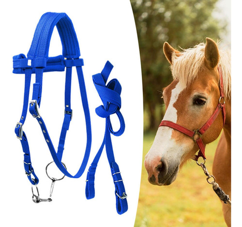 Brida De Caballo Con Rienda, Cuerda Para Montar A Azul