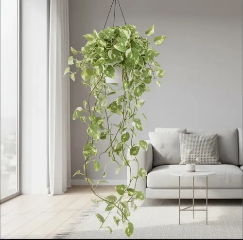 Artificial trailing hanging plant - Trailing and Hanging