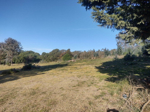 Imagen 2 de 5 de 4 Lotes En Balcarce, Camino Al Mirador