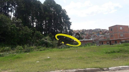 Área Com 34 Mil M², Com Platôs Excelentes Para Condomínio, Localizada Próxima Ao Centro Zis (mcmv) - Ar0201