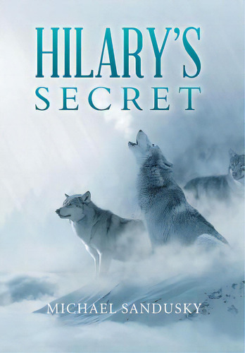 Hilary's Secret, De Sandusky, Michael. Editorial Xlibris Corp, Tapa Dura En Inglés