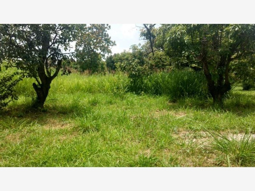 Imagen 2 de 12 de Terreno En Venta Ixtlahuacan