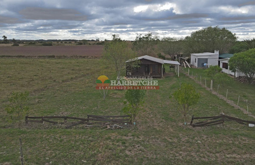 Imagen 6 de 17 de Casa Quinta A 4 Km Del Centro De Canelones, 5000 M2 De Terreno Ah-62784