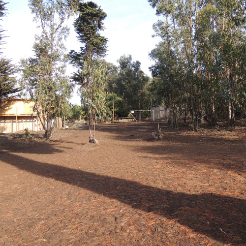 Terreno De 7.428 Mt A 200 Mt De Bajada Playa Caucau, Horcon