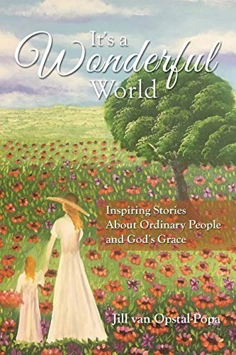 Its A Wonderful World, De Jill Van Opstal. Editora Elm Hill, Capa Mole Em Português, 2019