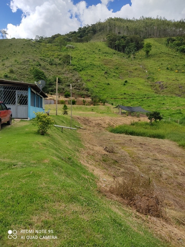 Sítio Com Casa E Mina De Água Maravilhosa!