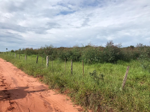 Imagem 3 de 6 de Arrendo 60 Hectares - Regiao De Arealva - Para Plantio