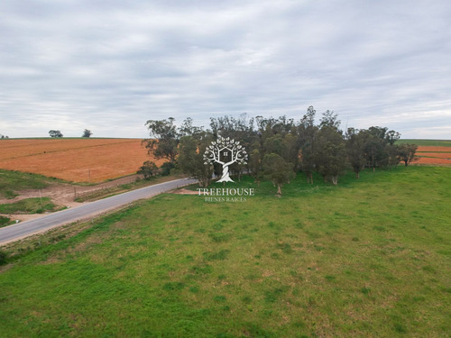 Venta Chacra 5,9 Hectáreas Camino Medellín Y Ruta 104 (ref: Tbr-3183)