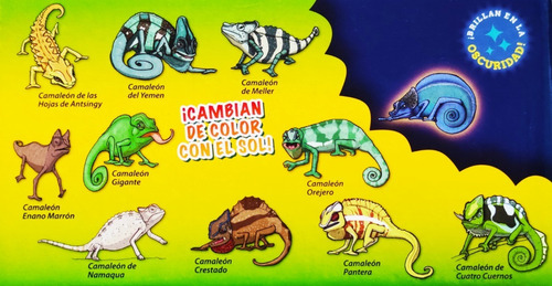 Imagen 4 de 5 de Kamaleon & Co - Juguete Cambia De Color