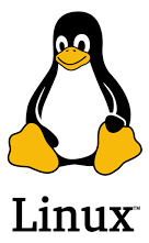 Formatação E Instalação De Windows Ou Linux