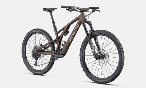 2022 Specialized Stumpjumper Evo Comp